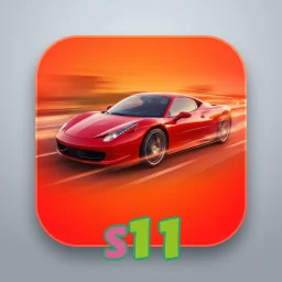 s11